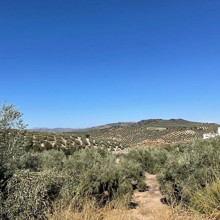 Lafrenchtouch - Escapada Rural En Una Coqueta Casa Villanueva de Tapia ภายนอก รูปภาพ
