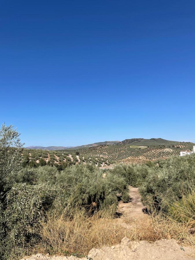 Lafrenchtouch - Escapada Rural En Una Coqueta Casa Villanueva de Tapia ภายนอก รูปภาพ